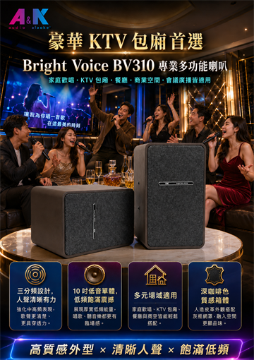 BV310 豪華 KTV 包廂 flyer 預覽