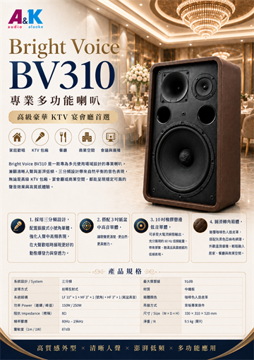 BV310 產品規格 flyer 預覽